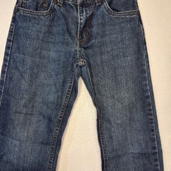 Boys Size 10 Reg Levi’s 