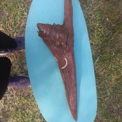 Real World Nature Art Vidoe Game Fantasy Sword