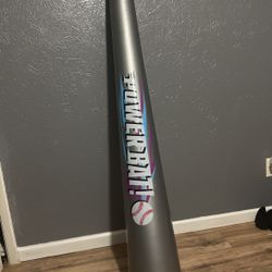 Baseball Bat Blow Up 