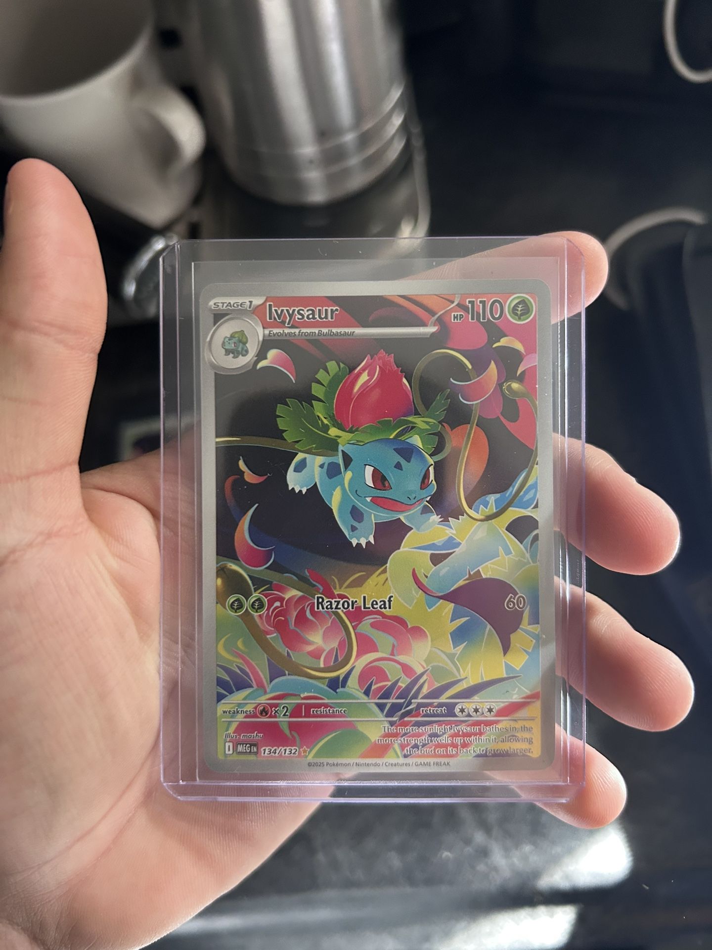 Pokemon Ivysaur