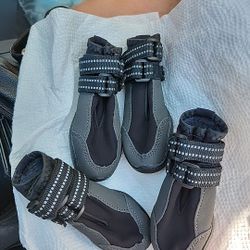 Brand New Black Dog Shoes Size M