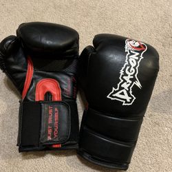 Boxing 🥊 Youth Gloves 