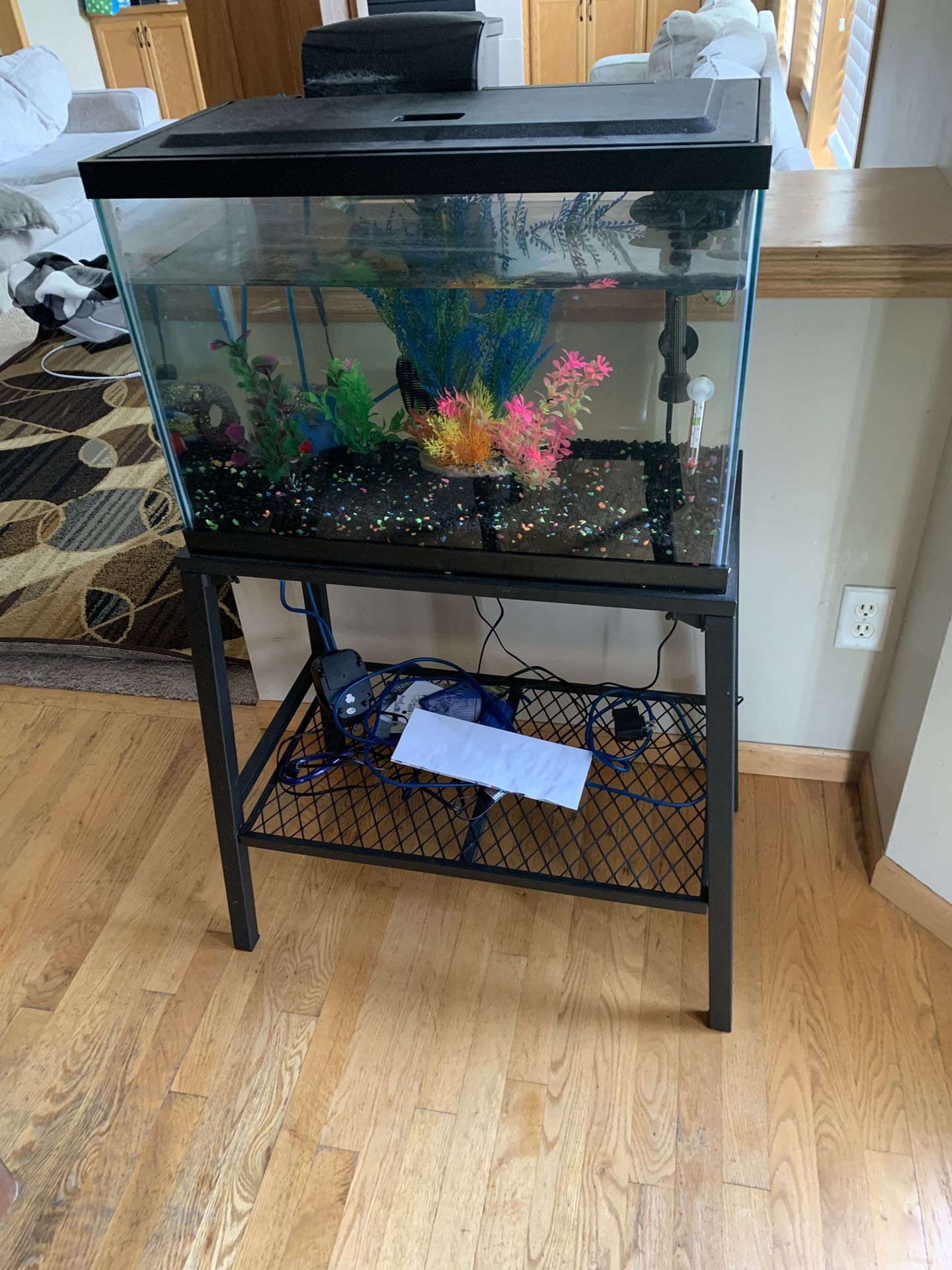 Fish Complete Setup!!