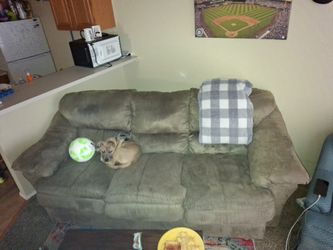 Well Maintained Couches