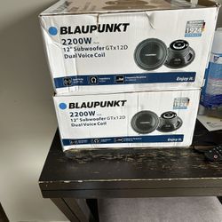 12 inch speakers