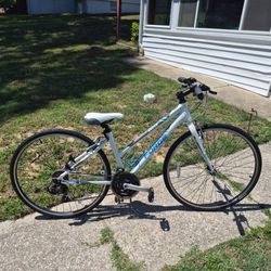 FORGE BREVA ALIMINUM BIKE - 29 INCH WHEELS 700C - 21 SPEED LIKE NEW