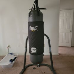 Heavy Bag And Speed Bag Combo