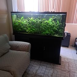 120 Gallons Aquarium, Fish Tank, 