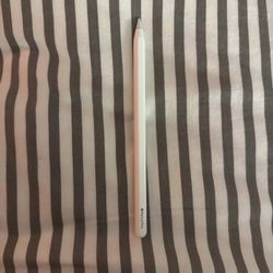 Apple Pencil Pro 2024