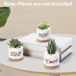 Mini Succulent Pots Personalized Garden Plant Pot for Wife, Best Wife Ever Plant Pot, Personalized Plant Pot 3.15 inch, 