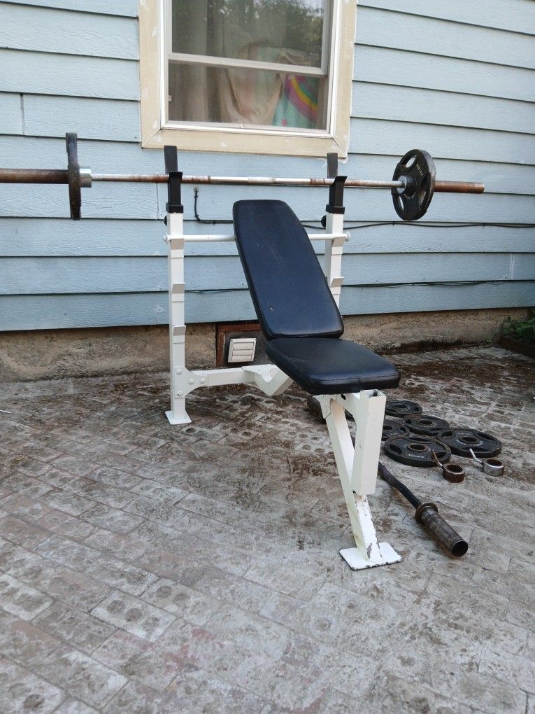 Weight Bench With Olympic Plates And Barbell And Crul Bar 