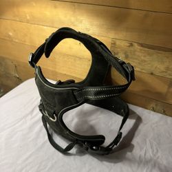 Dog Harness