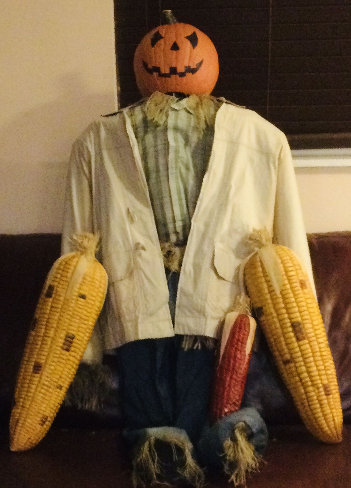 Pumpkin Jean And Corns