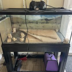 Bearded Dragon Aquarium