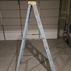 6 Ft Ladder 