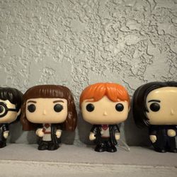 Harry Potter, Professor Shape, Hermione, Ron Weasley 