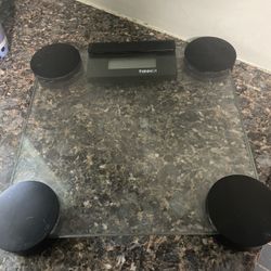 THINNer Body Weight Scale