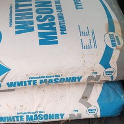 White Txi Masonry Type N 70 Lb Bags #2