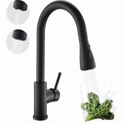 Matte Black Pull-Down Kitchen Faucet