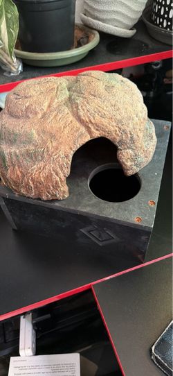 2 snake hides