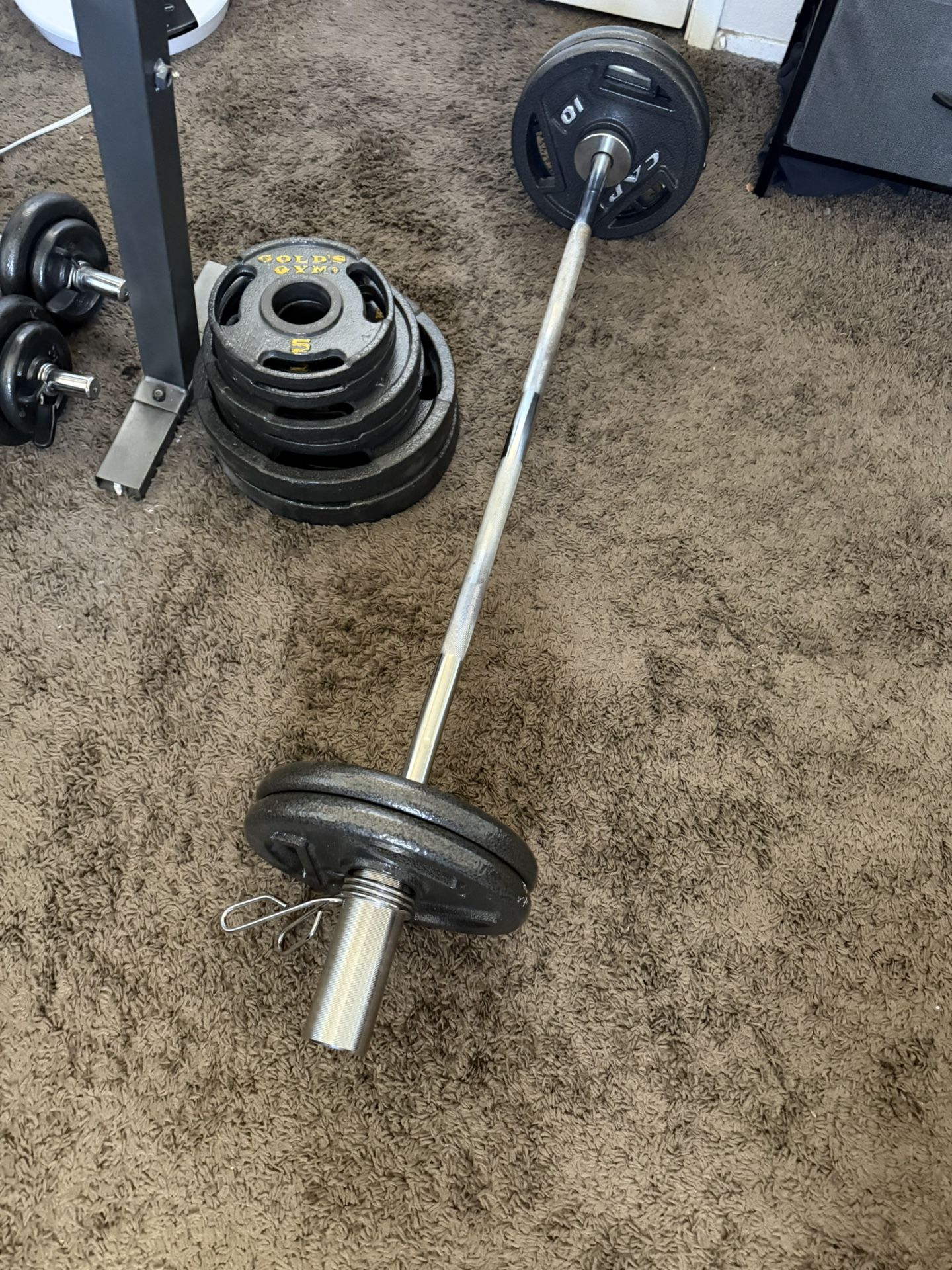 Curved Bar - Curl Barbell With 40 LB Weights