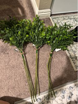 Fake plants