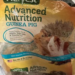 guineia pig food