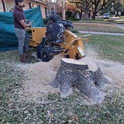 STUMP GRINDING