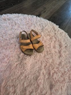 Cat& Jack size 2 girls