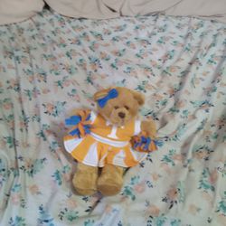 Stuffed Animal- Tennessee Cheerleader Teddy Bear 