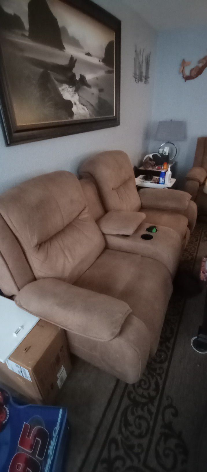 1  Recliner Sofa And 1 Loveseat 