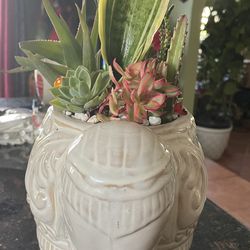 Elephant Live Succulent planter 