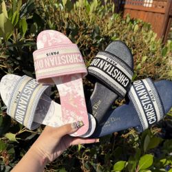 Slides