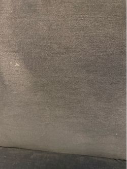 Blue Velvet Restoration Hardware Chairs