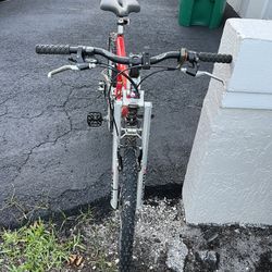 PRO FLEX 856 Mountain Bike 