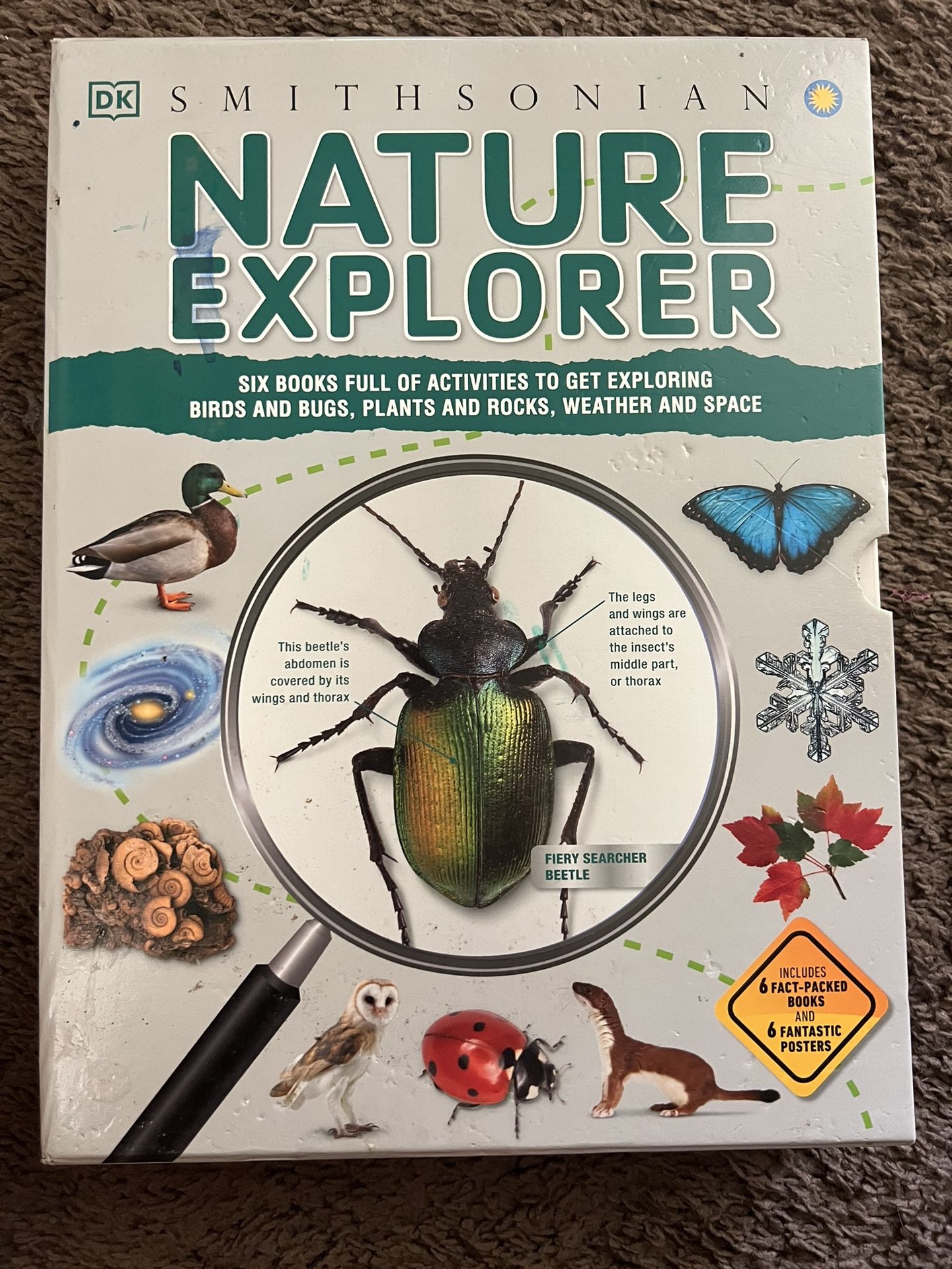 DK Smithsonian Nature Explorer: 6 Book Box Set