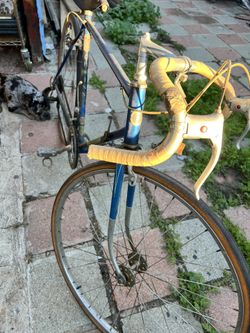 Schwinn Continental Sport 1960