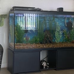 75 Gallons Fish Tank 