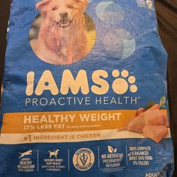 Iams Adult Dog Food 