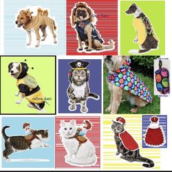 Petco Star Wars BOOTIQUE Pet Dog Cat Halloween Costumes- See Pics &ASK- Taco,Bee, Pirate,Shark++