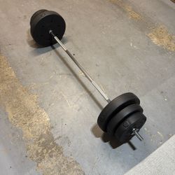 Barbell With Weights 