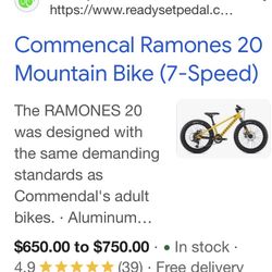 20 Inch Commercial Ramones Bike