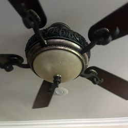Ceiling Fans With Light 