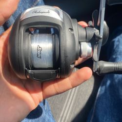 Bait caster 
