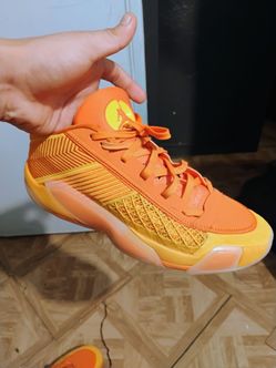 New Jordan basketball shoes 12 men