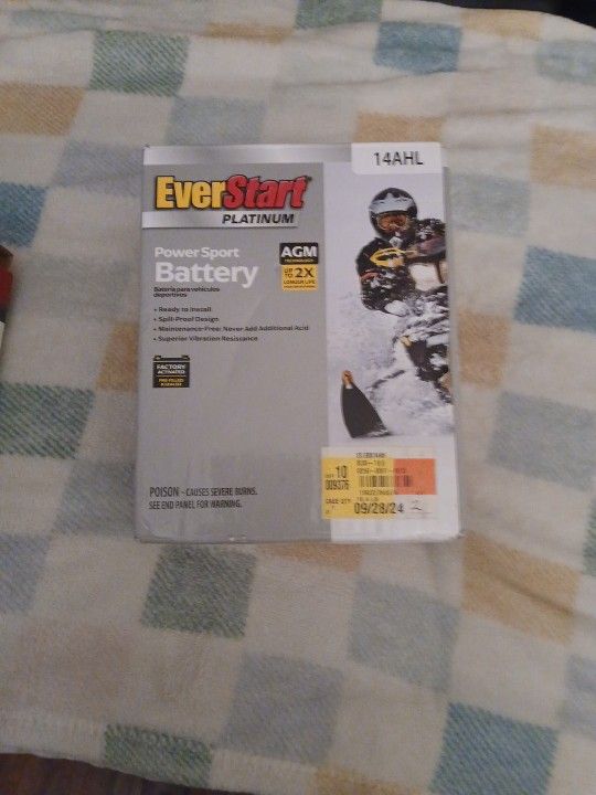 EverStart PLATINUM POWER SPORT Battery 