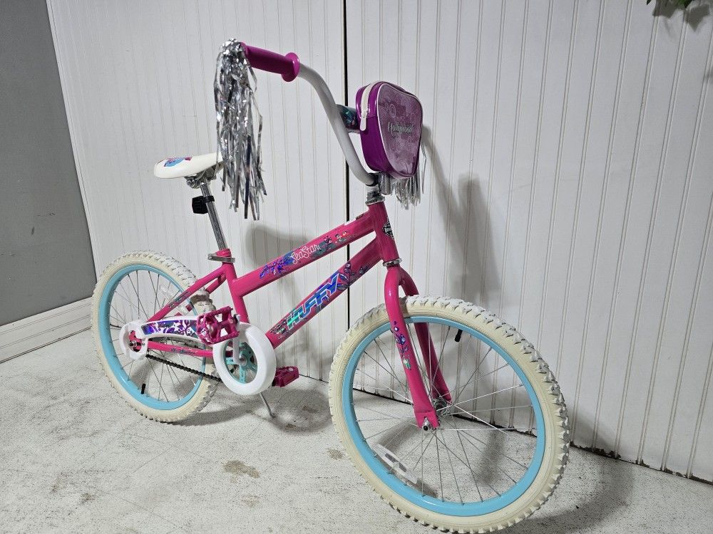 Bike Size 20