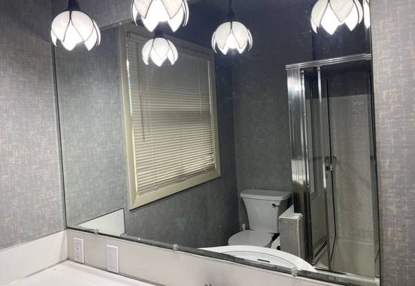 Large Beveled Wall Mirror - Above Bath Vanity? 53" x 36"