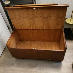 Trunk