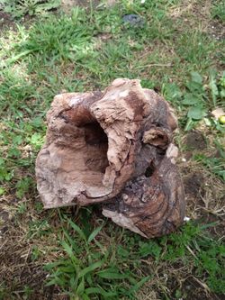 Natural Driftwood Tunnel aquarium Terrarium Decor